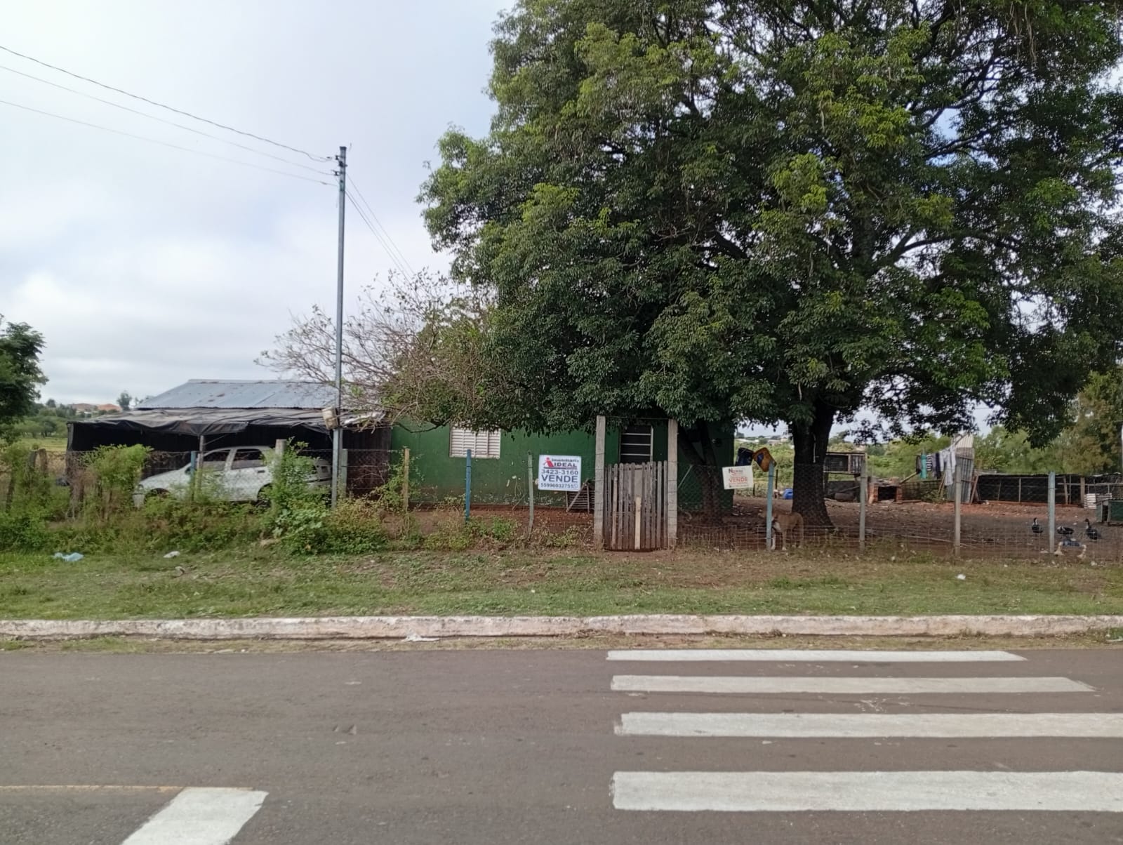 Av. Oscar Lucho