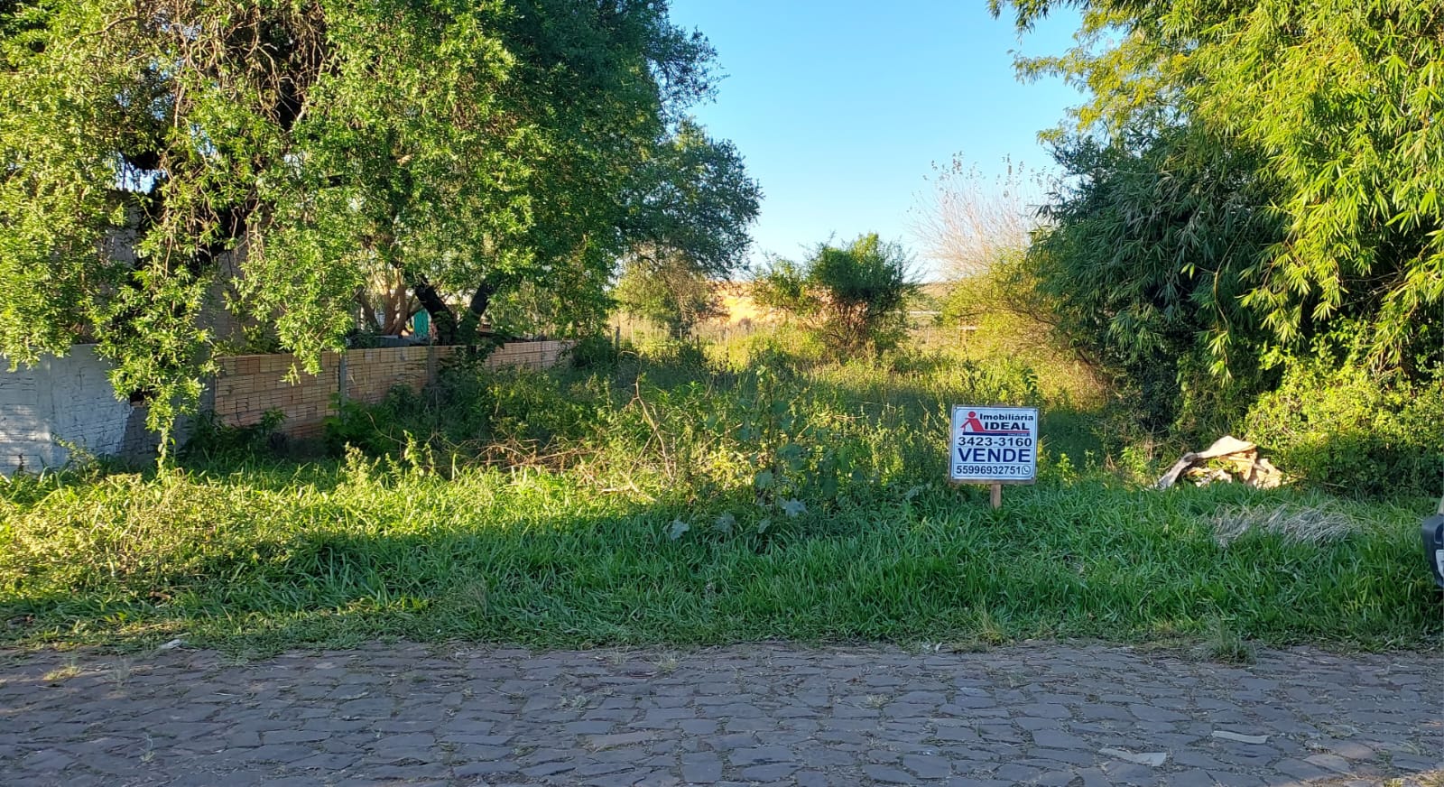 Rua Brigido Rodrigues